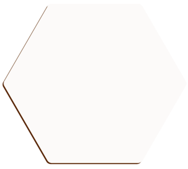 Unisub Coaster - Hexagon sublimation blank